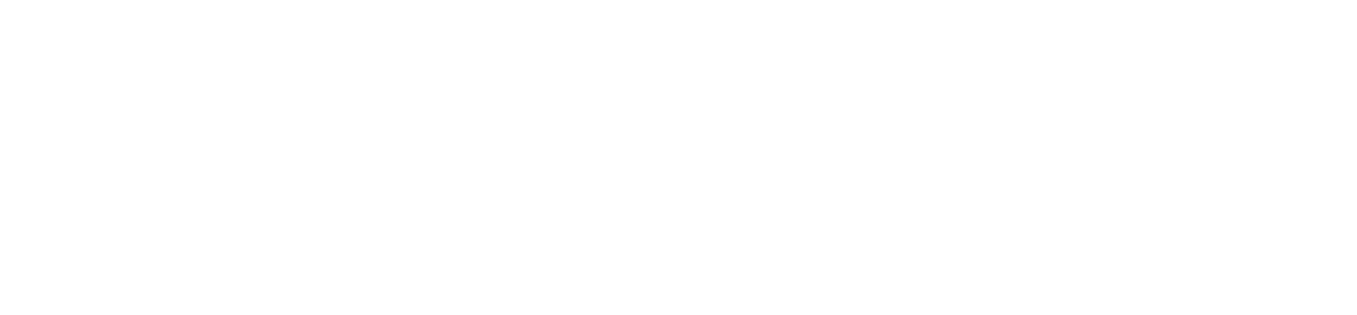White FireSwitch Logo
