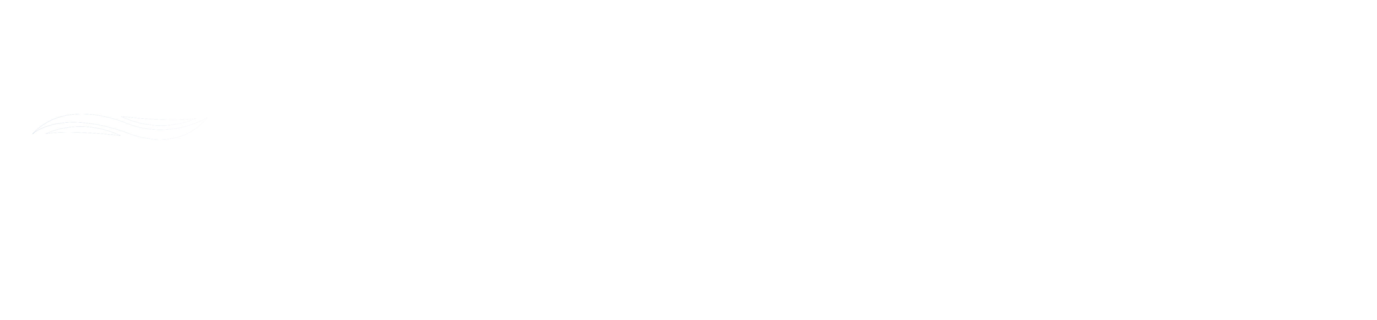FireSwitch Logo WHITE
