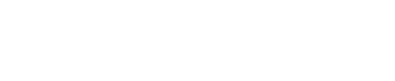 FireSwitch 2.3 SVG WHITE Logo WebP
