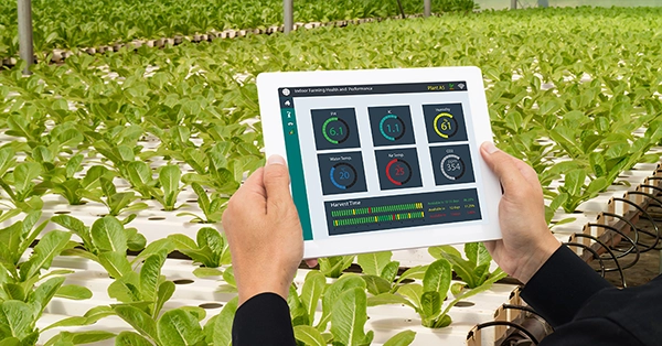IoT-agriculture W