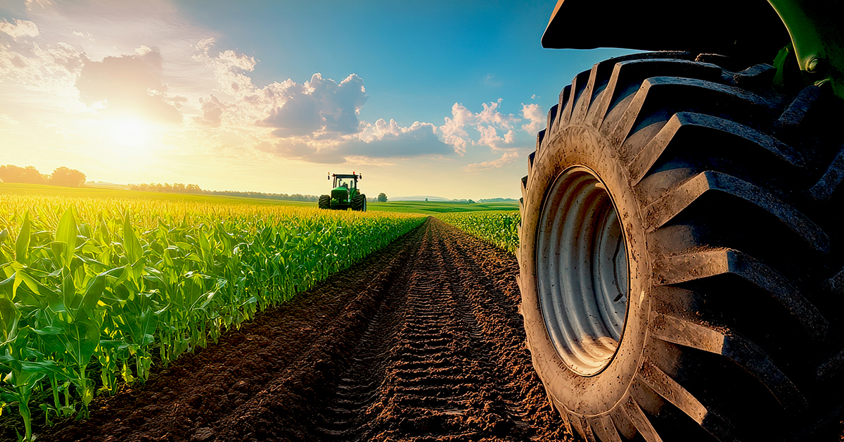 LH Agro Case Study